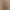 woodcarving AI effects generated image