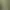Social Media Frame AI effects generated image