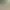 Acrylic Ornaments AI effects generated image