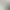 Pifurry Dream AI effects generated image