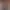 Acting Cute AI effects generated image