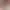 Lying in the flowers AI effects generated image