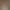 Pearl - Embraced Elegance AI effects generated image