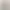 Pet professional AI effects generated image