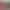 Fortune Doll AI effects generated image