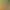 Illustration AI effects generated image