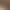 Rose man AI effects generated image