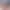 Santorini Floral Dream AI effects generated image