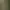 Forest Elves AI effects generated image