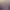 lavender background AI effects generated image