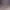 AI Portrait AI effects generated image