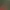 Tropical Sari Serenity AI effects generated image