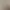 Image to Image AI effects generated image