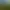 Image to Image AI effects generated image
