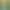 Image to Image AI effects generated image