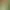 AI Image Editor AI effects generated image