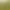 Image to Image AI effects generated image