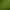 Image to Image AI effects generated image