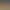ImageEditor AI effects generated image