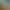 Image to Image AI effects generated image