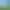 Image to Image AI effects generated image