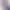 Image to Image AI effects generated image