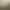Image to Image AI effects generated image