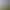 Image to Image AI effects generated image