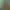 Image to Image AI effects generated image