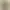 Image to Image AI effects generated image