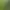 Image to Image AI effects generated image