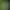 Image to Image AI effects generated image