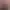 Image to Image AI effects generated image
