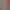 Image to Image AI effects generated image