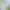 Image to Image AI effects generated image