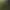 Image to Image AI effects generated image