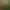 Image to Image AI effects generated image