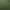 Image to Image AI effects generated image