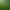 Image to Image AI effects generated image
