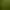 Image to Image AI effects generated image