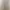 ImageEditor AI effects generated image