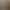 Image to Image AI effects generated image