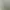 Image to Image AI effects generated image
