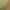 Image to Image AI effects generated image