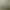 Image to Image AI effects generated image