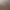 Image to Image AI effects generated image