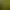 Image to Image AI effects generated image
