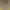 Image to Image AI effects generated image