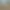Image to Image AI effects generated image