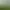 Image to Image AI effects generated image